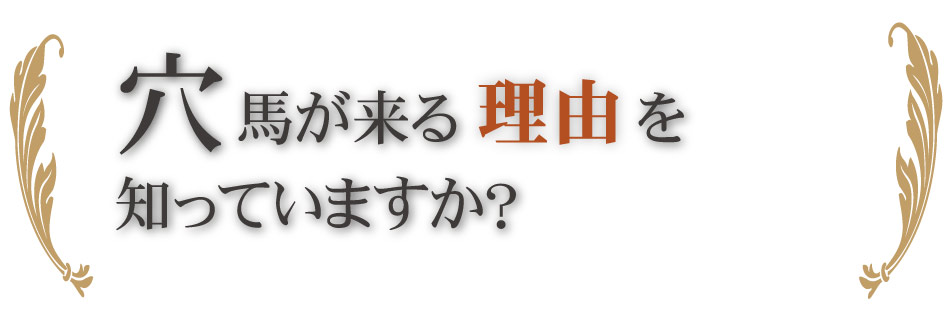 穴馬が来る理由を知っていますか？